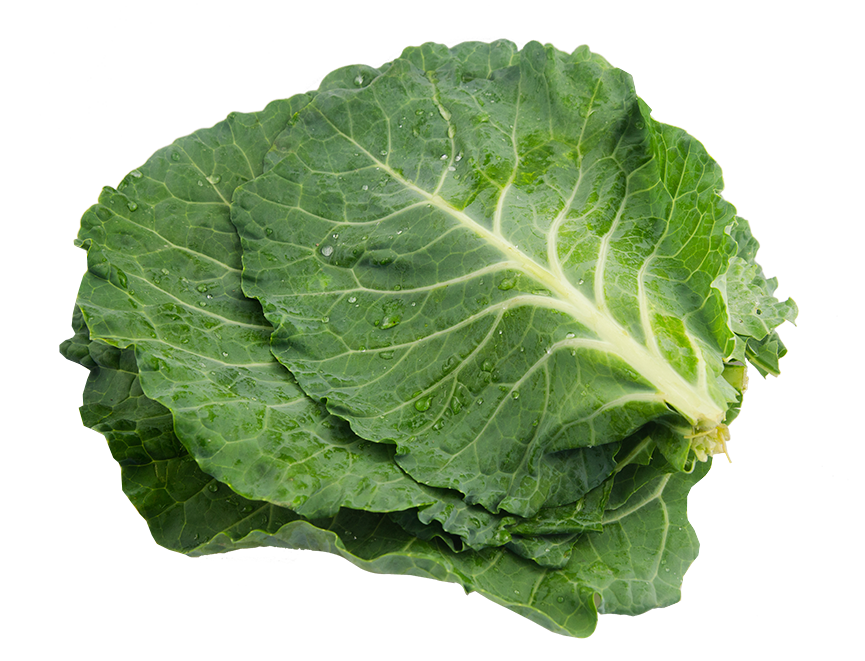 COUVE VERDE UN