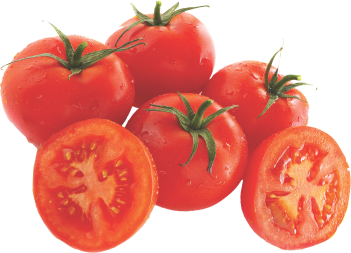 TOMATE LONGA VIDA KG