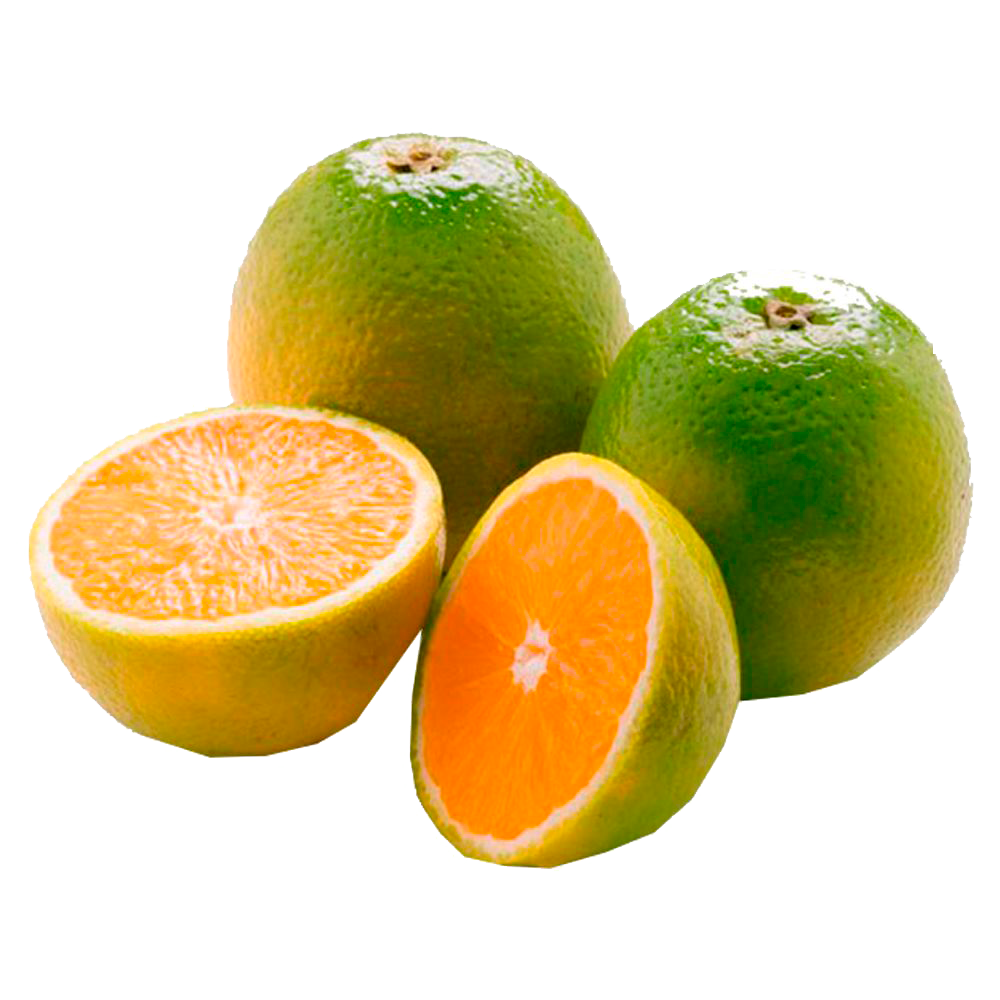 LARANJA P/ SUCO MAQ