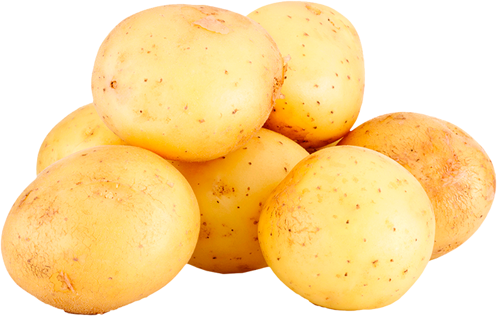 BATATA BCA KG