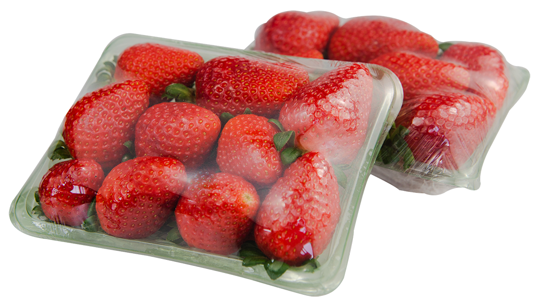 MORANGO 250G BDJ