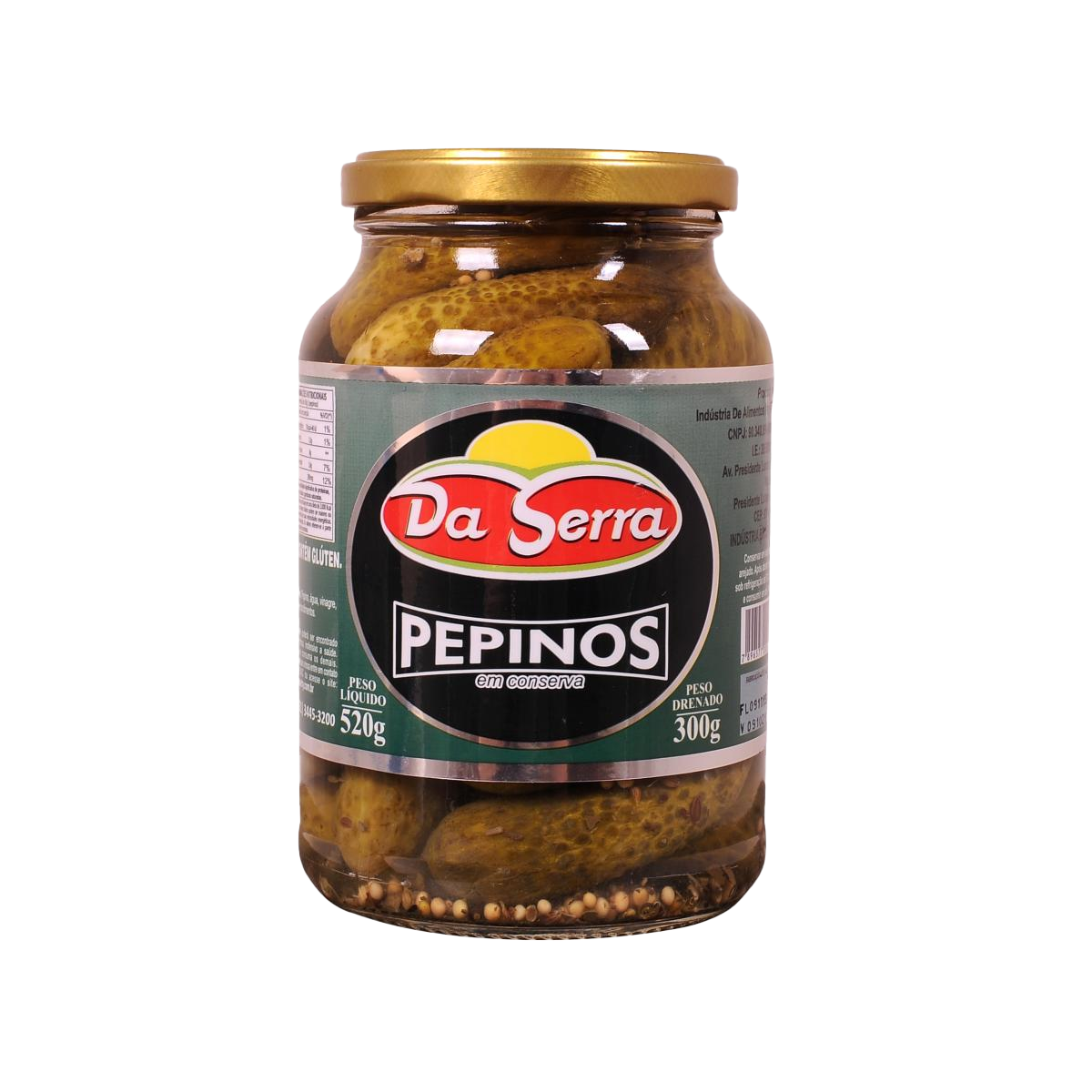 PEPINO DA SERRA 300G CONSERVA