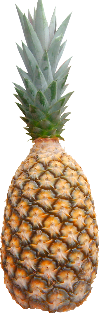 ABACAXI PEROLA UN