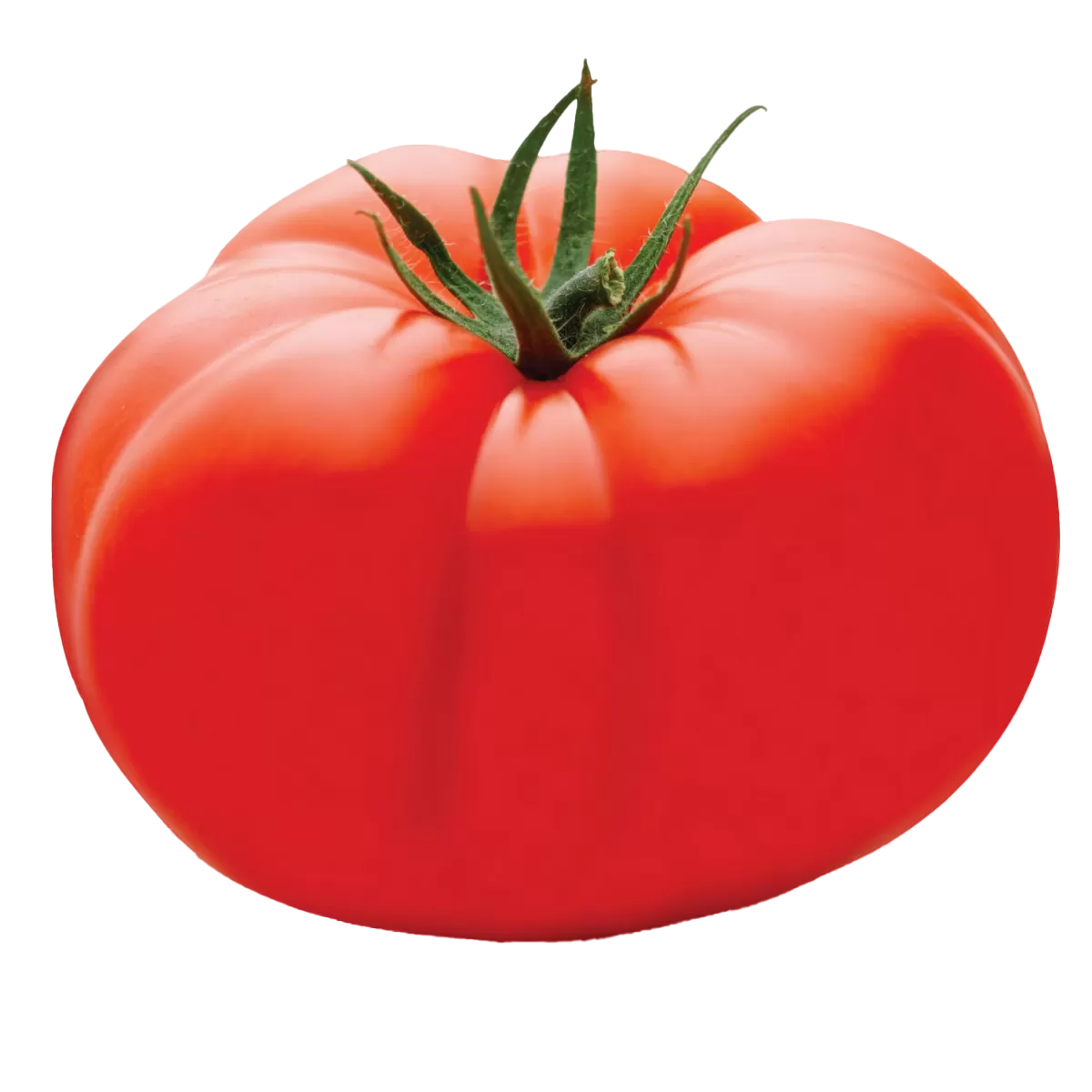 TOMATE GAUCHO KG