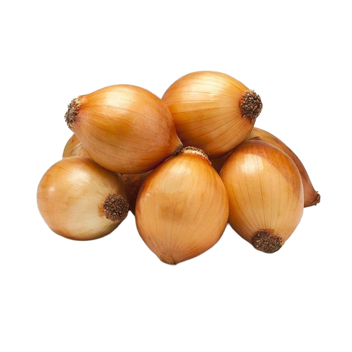 CEBOLA CONSERVA KG