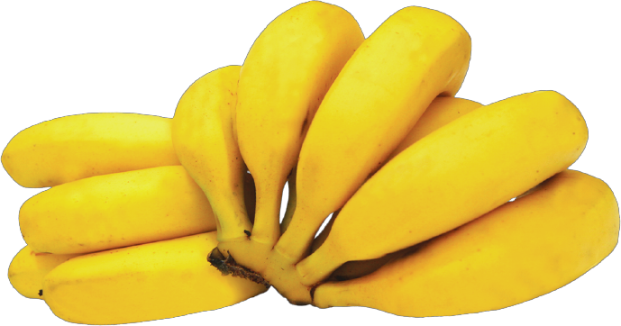 BANANA CATURRA KG